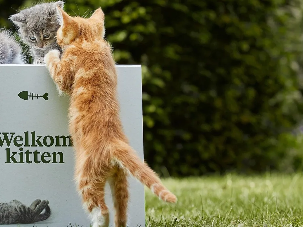Welkoop Welkomstpakket